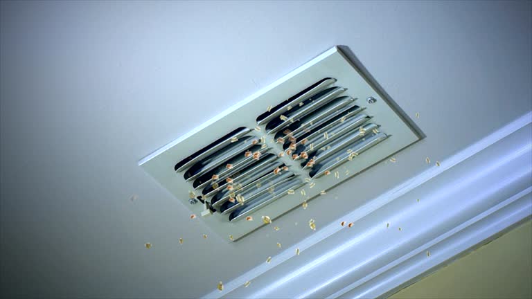 Best Affordable HVAC Duct Cleaning  in Piketon, OH